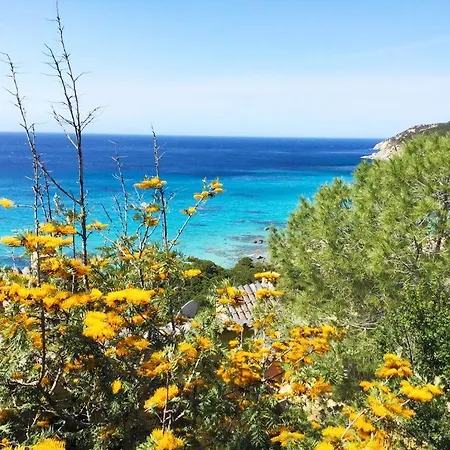 Vista Mare A 100 Mt Di Distanza * Villasimius